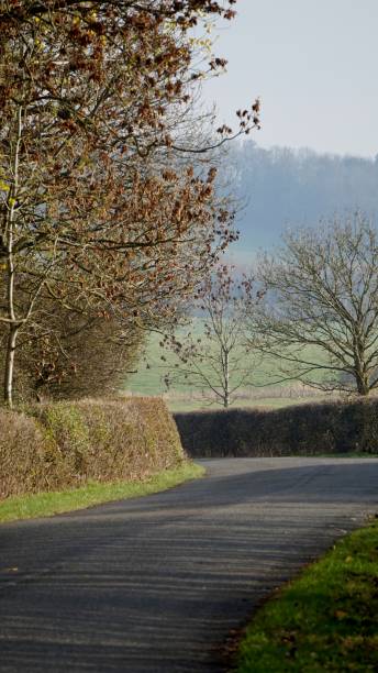 istock Curvy country road. 1094145144