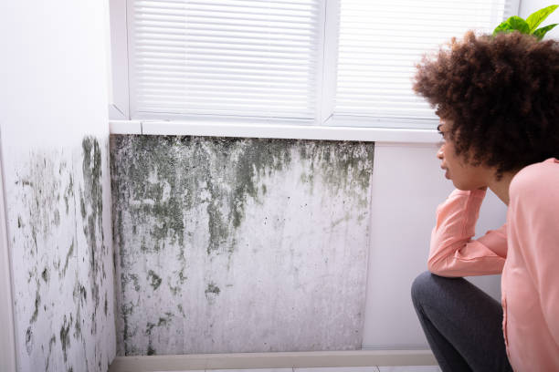 istock Woman Looking At Mold On Wall 1094152902