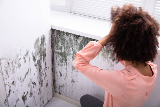 istock Woman Looking At Mold On Wall 1094152912