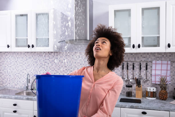 istock Woman Collecting Water Leaking From Ceiling In Bucket 1094152932
