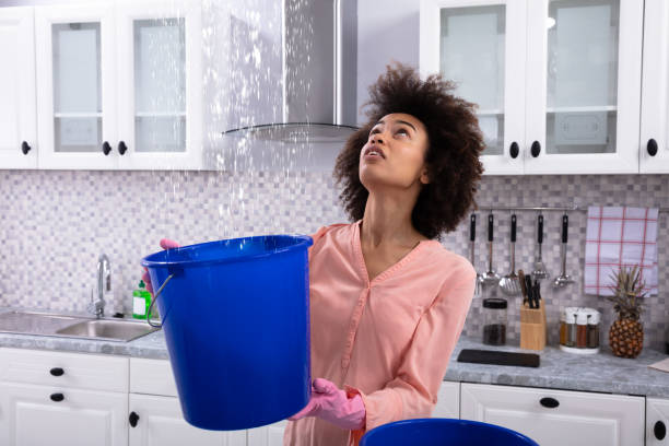 istock Woman Collecting Water Leaking From Ceiling In Bucket 1094152936