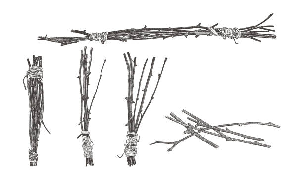 Bundles of twigs wrapped with raffia Stipple illustrations of bundles of twigs wrapped with raffia bundle stock illustrations