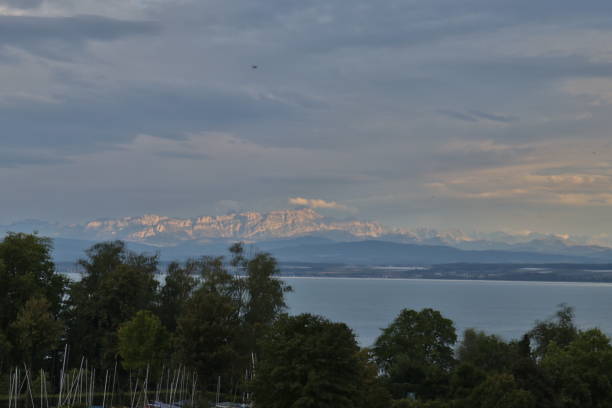 istock Vineyard of the Bodensee lake 1094157884