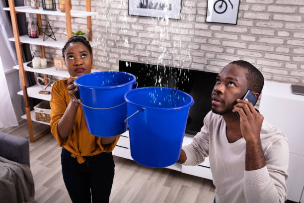 couple using bucket for collecting water leakage from ceiling - ceiling imagens e fotografias de stock