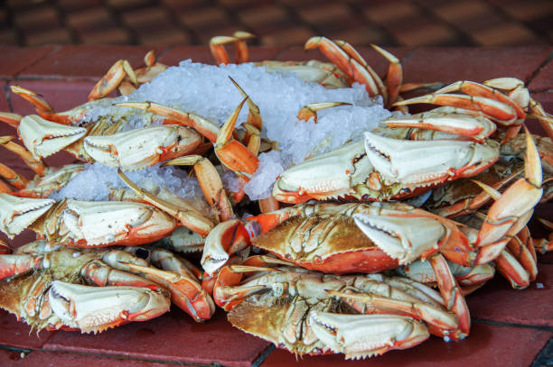 istock Whole crabs for sale 1094158706