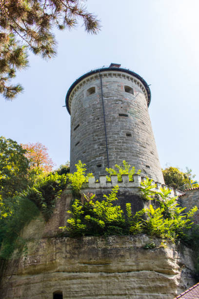 istock Historical Gallerturm tower 1094160068