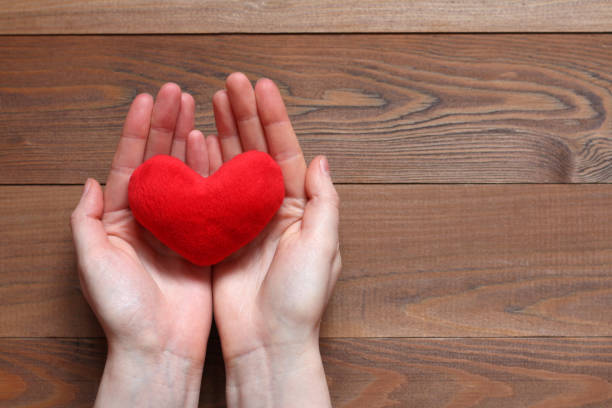 istock Red plush heart in female hands 1094163144