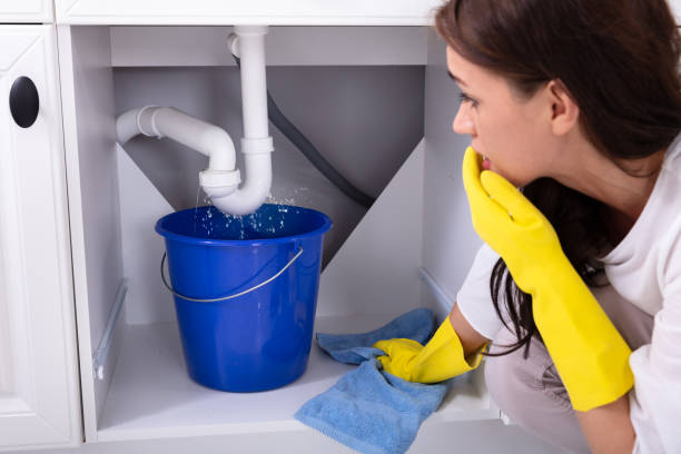 istock Woman Placing Bucket Under Water Leaking From Sink Pipe 1094170710