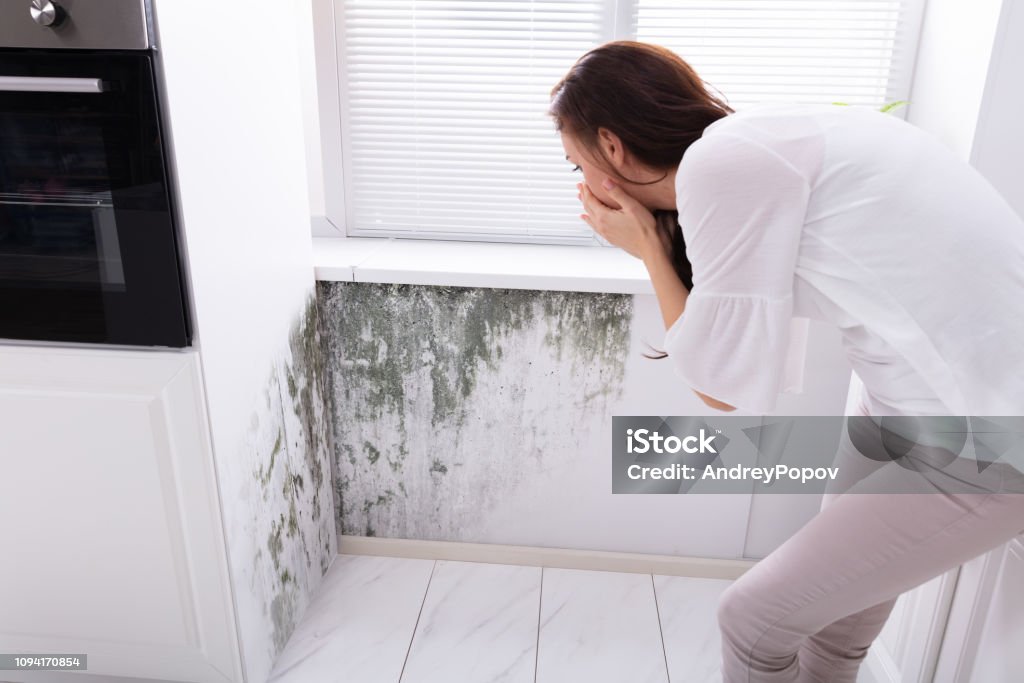 Vrouw kijken naar schimmel op muur - Royalty-free Huis Stockfoto