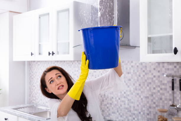 istock Woman Collecting Water Leaking From Ceiling In Bucket 1094170892