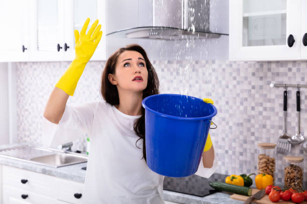 istock Woman Collecting Water Leaking From Ceiling In Bucket 1094170902