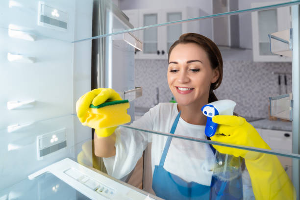 Woman Cleaning Refrigerator With Sponge Close-up Of A Happy Young Woman Cleaning Refrigerator With Sponge domestic staff stock pictures, royalty-free photos & images
