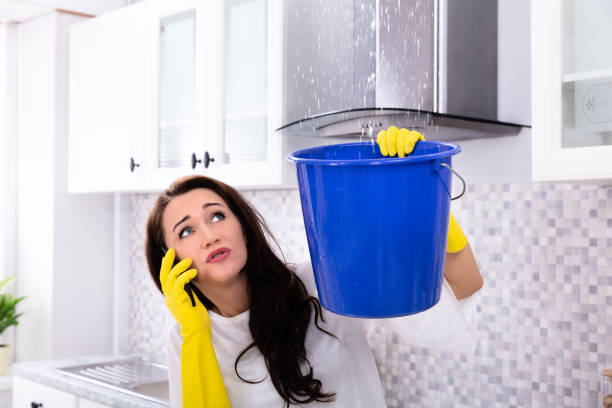 istock Woman Calling Plumber And Collecting Water Leaking From Ceiling 1094170908