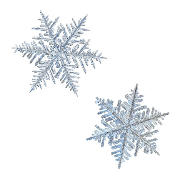 istock Two snowflakes isolated on white background 1094171050