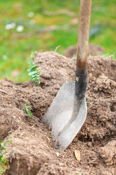 istock Shovel in the ground 1094185448