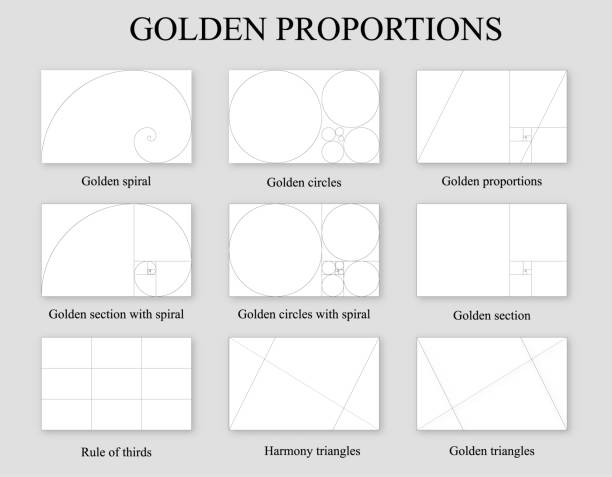 goldenen proportionen gesetzt. verhältnis des goldenen schnittes - zollstock stock-grafiken, -clipart, -cartoons und -symbole