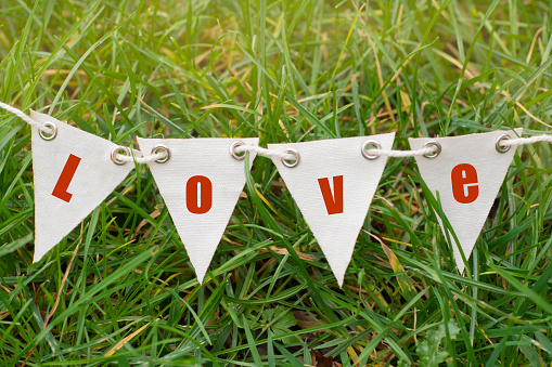 Valentine's day background. Party decorative garland with Love words, inscription. Green grass background