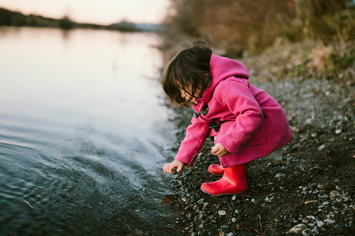 A three year old Hispanic little girl picks up rocks to throw in the river, in Washington State.