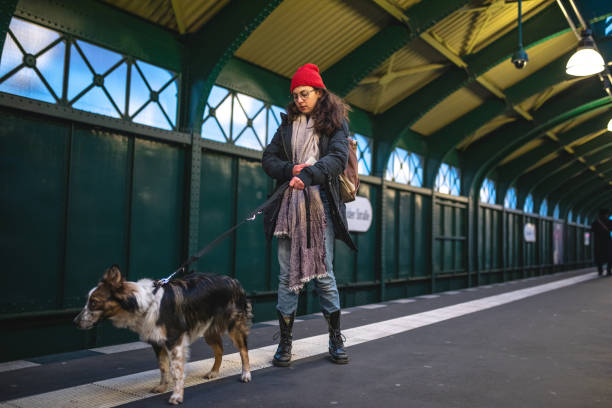 istock Gorgeous hipster girl waiting for a train with her dog 1094198546