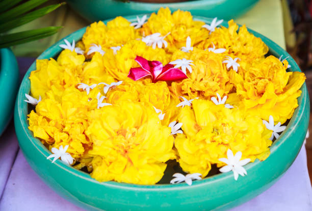 Traditional Asian Thai Architectural Interior Design: Decorated Ceramic porcelain bowl with blooming orchid, marigold and jasmine flowers on water, adding room fresher air. Oriental Decoration concept
