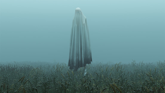Floating Evil Spirit in a Grassy Field on a Foggy Day 3d Illustration 3d Rendering