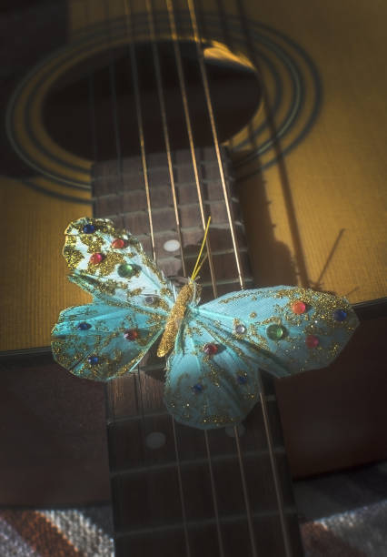 istock Turquoise butterfly on strings of acoustic guitar 1094204644