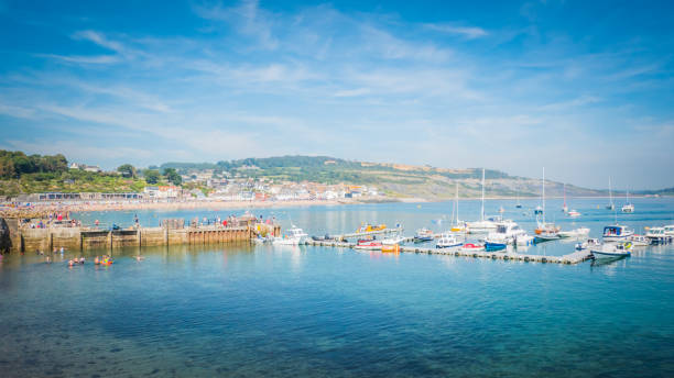 baía de lyme regis, na costa do jurássico no reino unido - the cobb - fotografias e filmes do acervo