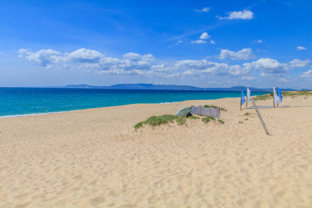 Involves View of comporta beach in Alentejo Portugal setúbal city portugal stock pictures, royalty-free photos & images
