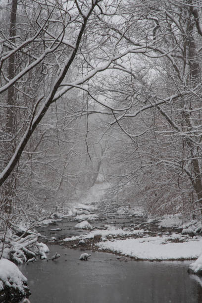 rock creek park w śniegu - waszyngton - winter stream river snowing zdjęcia i obrazy z banku zdjęć