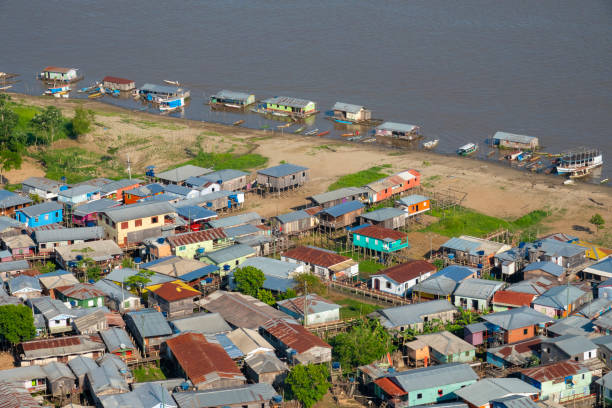 istock Houses in the Negro River 1094219584