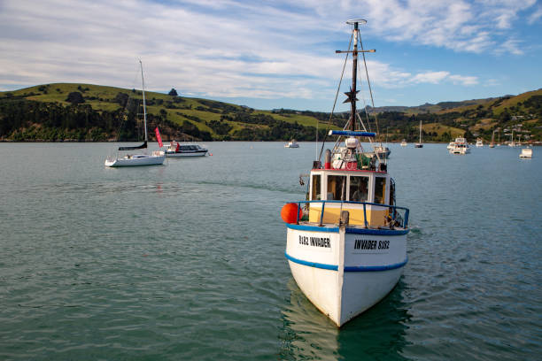 늦은 오후 태양 잡는 낚시 보트의 측면 그것 일의 낚시 후 아카 부두에 반환 - akaroa banks peninsula bay sea 뉴스 사진 이미지