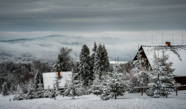 Cabanes dans le bois d’hiver - Photo