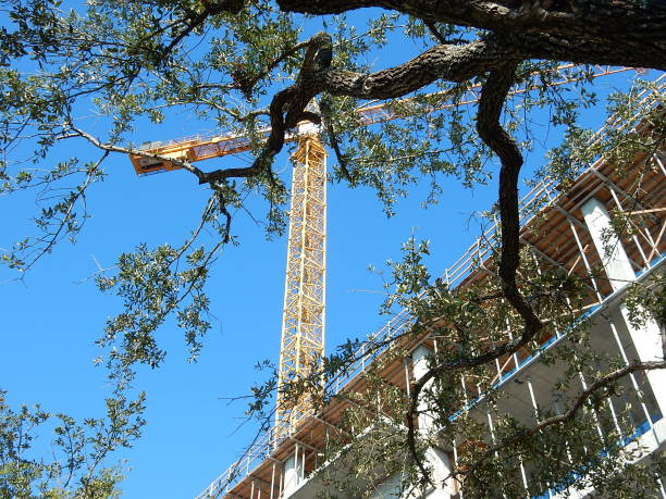 istock Yellow construction crane through live oak tree limbs 1094239312