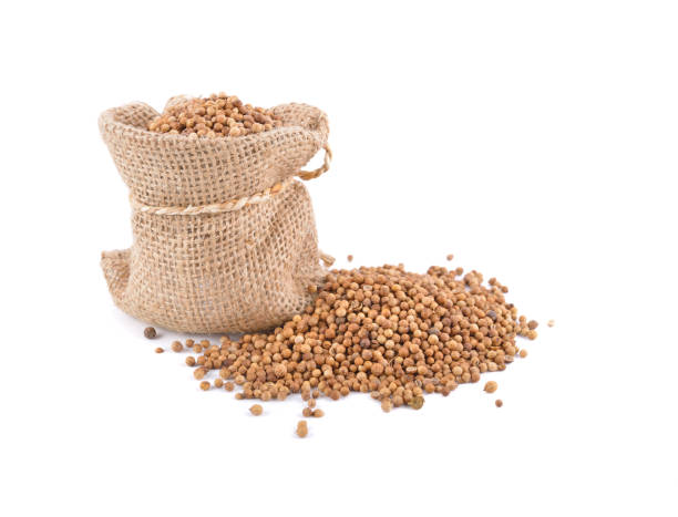 istock dried coriander seeds in sack and on white background 1094250988