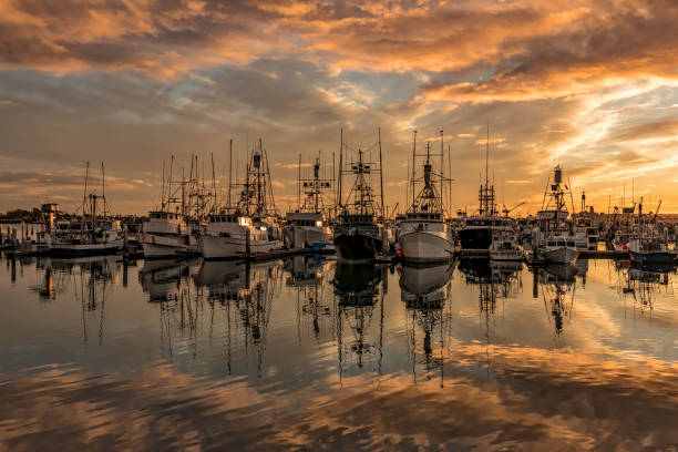 istock SAN DIEGO FISHING FLEET 1094251016