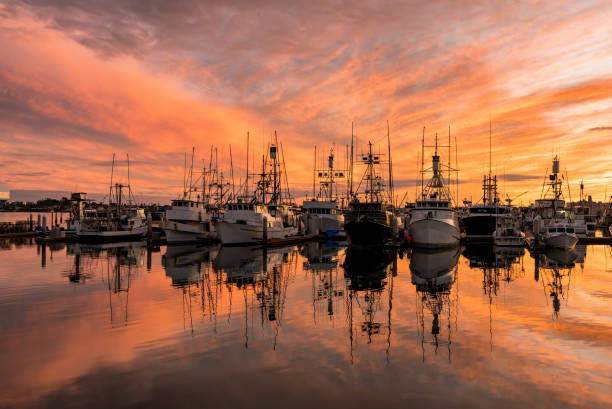 istock SAN DIEGO FISHING FLEET 1094251036