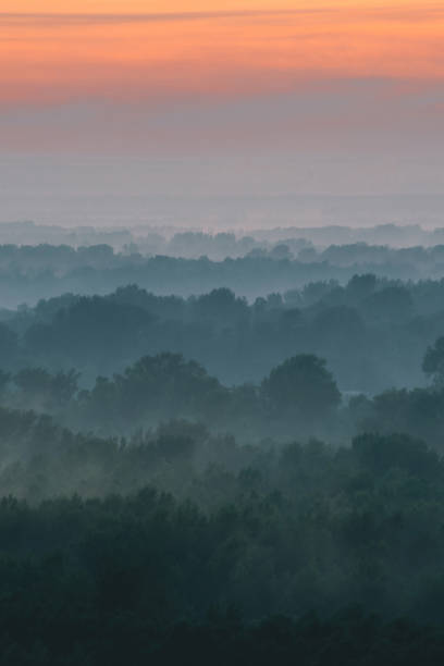 istock Mystical view from top on forest under haze at early morning. Mist among layers from tree silhouettes in taiga under warm predawn sky. Morning atmospheric minimalistic landscape of majestic nature. 1094252406