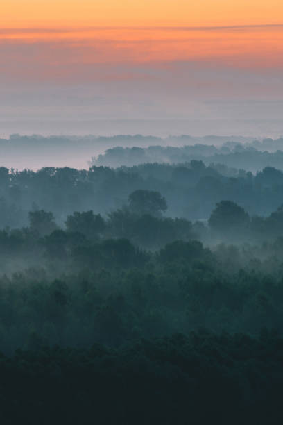 istock Mystical view from top on forest under haze at early morning. Mist among layers from tree silhouettes in taiga under warm predawn sky. Morning atmospheric minimalistic landscape of majestic nature. 1094252410