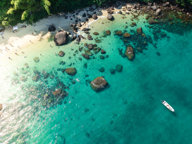 Tropical beach in Brazil stock photo
