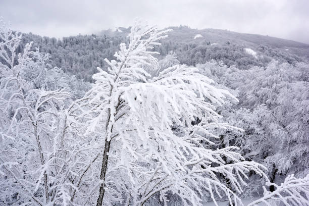 istock Snow covered all of mountain 1094255780