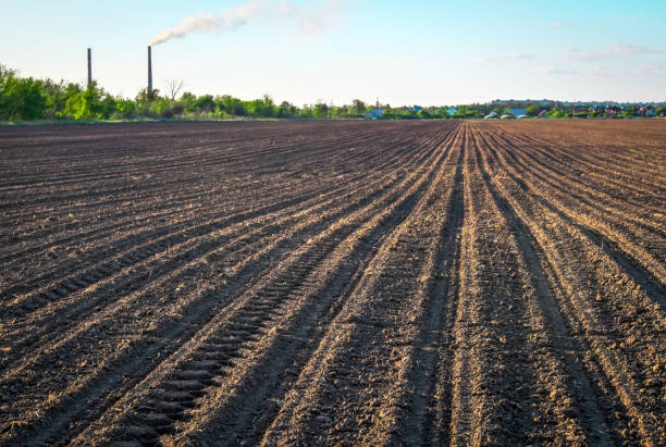 Preparing field for planting. Plowed soil in spring time, two tubes and blue sky.