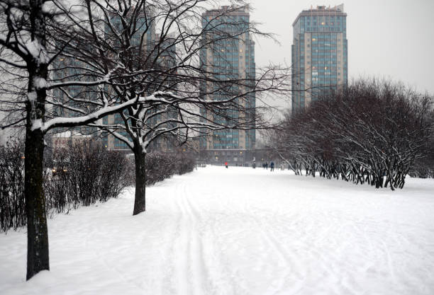 istock City park at winter. 1094258042