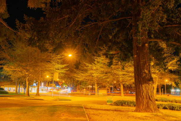 tree lined Amuri Avenue in the spa tourist town with the advertising signs on buildings illuminated by street lights  October 2018 New Zealand in Hanmer Springs New Zealand
