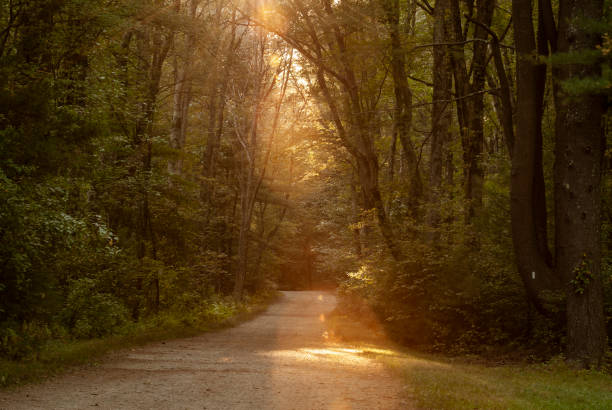istock Shaft of sunlight on carriage road 1094261476