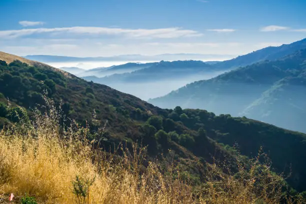 Morning view of the valley from the road to Mt Umunhum summit, Sierra Azul OSP, south San Francisco bay area, California