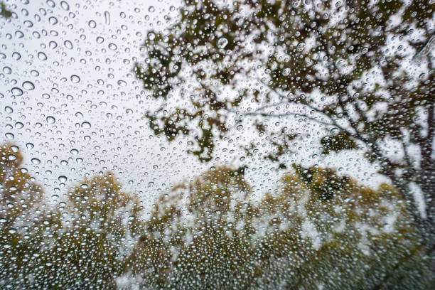 istock Drops of rain on the windshield; autumn colored trees in the background 1094282940