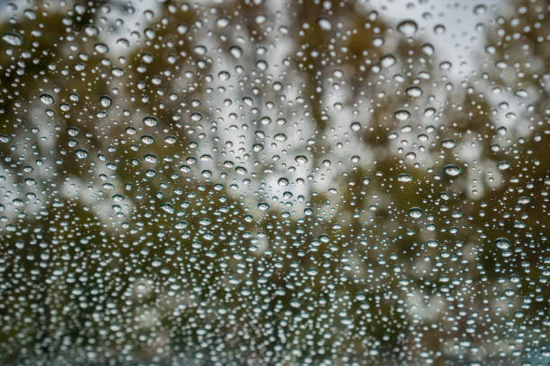 istock Drops of rain on the windshield; autumn colored trees in the background 1094282976
