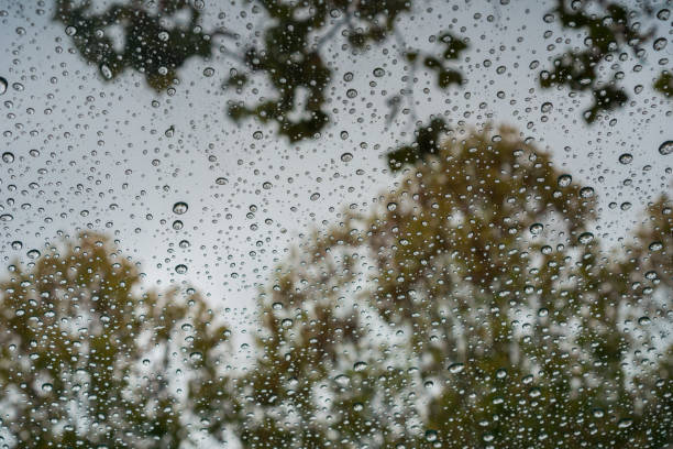 istock Drops of rain on the windshield; autumn colored trees in the background 1094282978