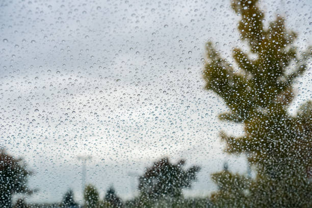 istock Drops of rain on the windshield; cloudy sky and autumn colored trees in the background 1094282980