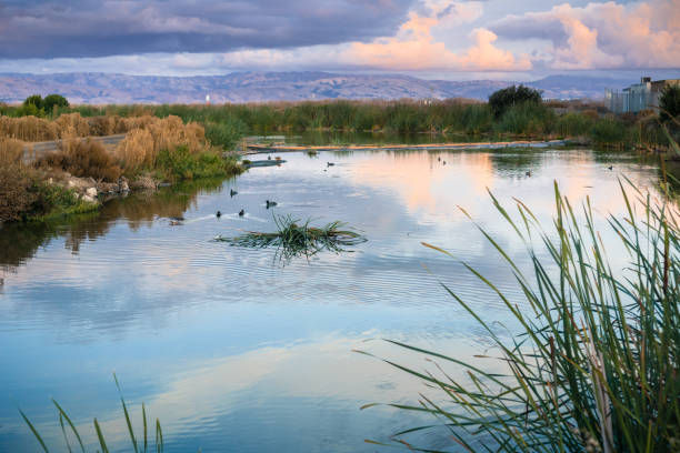 sonnenuntergang landschaft der sümpfe von south san francisco bay, sunnyvale, kalifornien - süd kalifornien stock-fotos und bilder